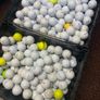 100 Top Brand Golf Balls Image 4