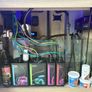 Reef Fish Tank Image 6