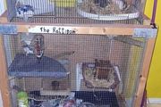 rat cage