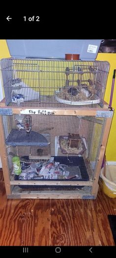 rat cage