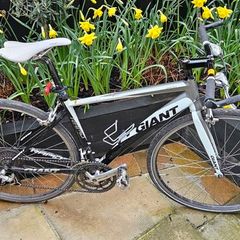 Giant Bike