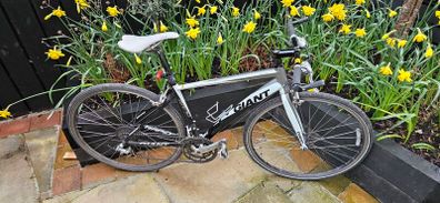 Giant Bike