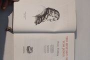The History of Tom Jones Volume II by Henry Fielding