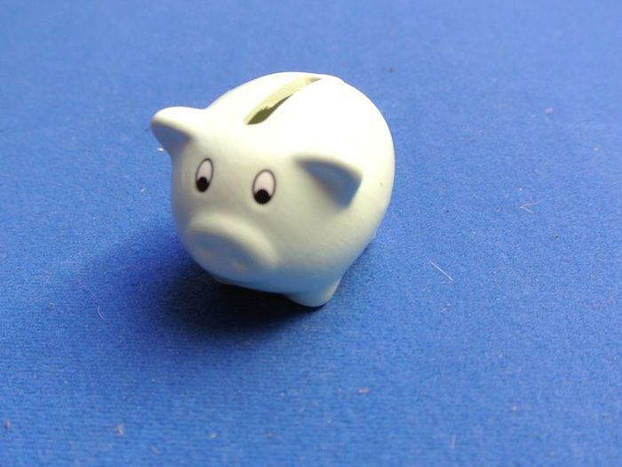 Little Porcelain Pig Money Box