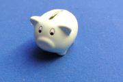 Little Porcelain Pig Money Box