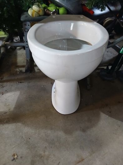 toilet bowl