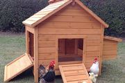 6-8 Bird Large Hen Chicken Coop - Free delivery