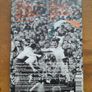 U2 - Go Home - DVD - Live At Slane Castle Image 3
