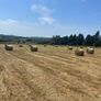 Round bales of Hay Image 2