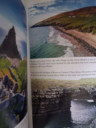 Wild Shores / The Magic of Ireland's Coastline / Richard Nairn / 2022