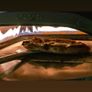 Ooni Koda 16 pizza oven Image 3