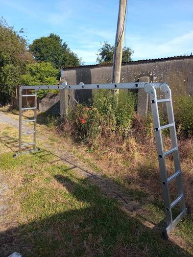 new combination ladder