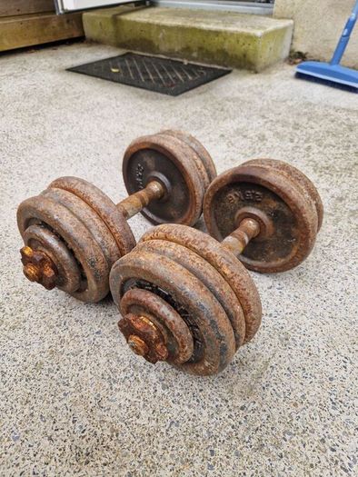 17.5kg Dumbbells Adjustable