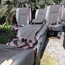 crew cab seats including belt Image 6