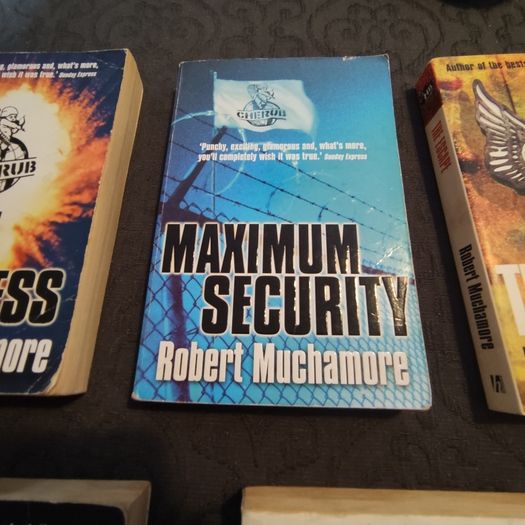 Robert Muchamore novels job lot