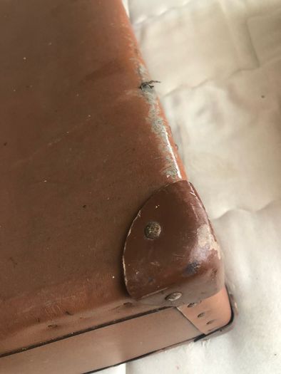 Vintage travel case
