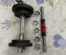 Free Weights