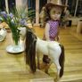Our Generation Doll and Horse Image 6