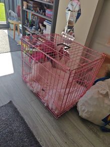 medium pink dog kennel
