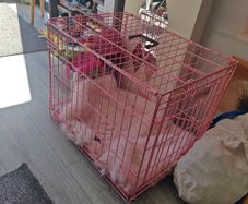 medium pink dog kennel