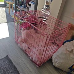 medium pink dog kennel