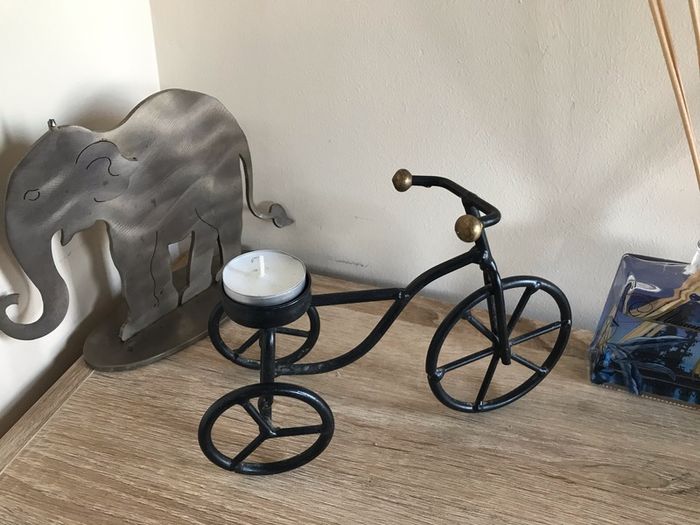 ornamental bike