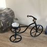 ornamental bike Image 2