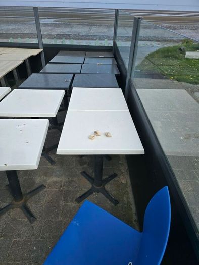 FREE - Cafe tables and chairs