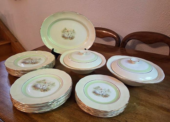 Fabulous Arklow Pottery Vintage China Dinner Service 6 Settings