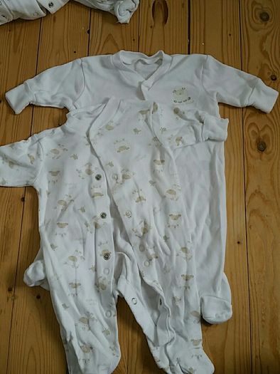 baby grows