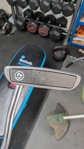 TaylorMade spider os