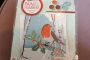 Paint by numbers art and craft kit