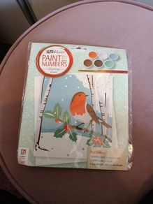 Paint by numbers art and craft kit