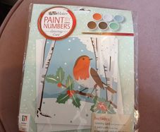 Paint by numbers art and craft kit