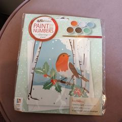 Paint by numbers art and craft kit