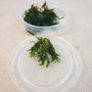 Aquaristc mosses Image 6