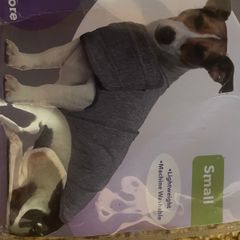 Dog Anti-Anxiety Wrap/Comfort Wrap