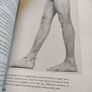 Self-massage Image 5