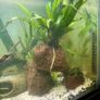 110L fish tank need gone ASAP Image 6