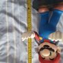mario Image 2