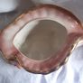 Staffordshire Gold Rimmed Shell Plant Pot Holder. Image 5