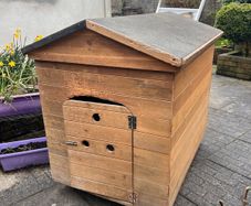 Large Dog House