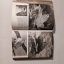 The Pictorial Encyclopedia of Birds edited by Bruce Campbell Image 5