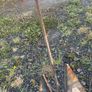boat anchor 8kg Image 3