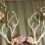 Gothic Headband Image 4