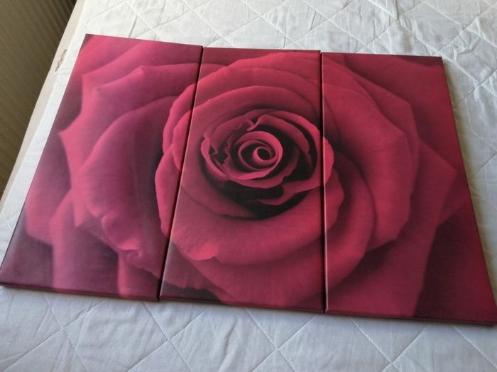 Canvas Wall Art