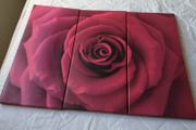 Canvas Wall Art
