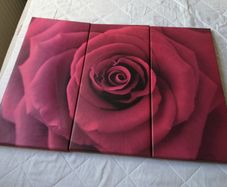 Canvas Wall Art