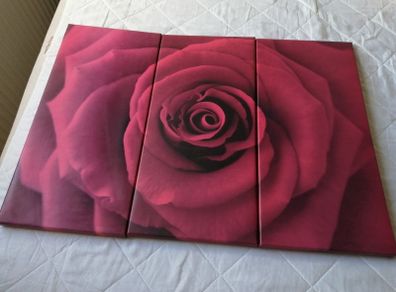 Canvas Wall Art