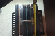 Hirola button accordian.